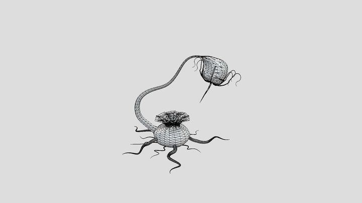 Alien Plant 3D Model