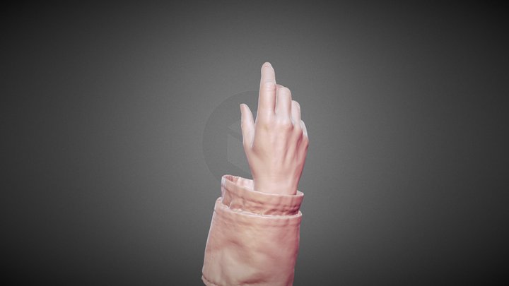 scan_hand_take23 3D Model