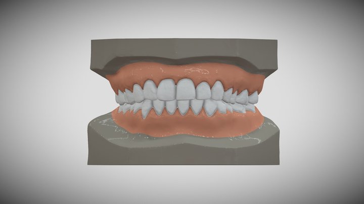 Dental 3D MODEL 3D Model
