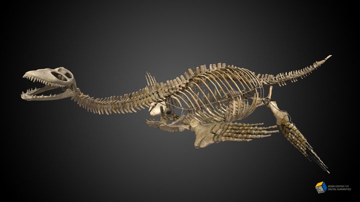 Plesiosaur 3D Model
