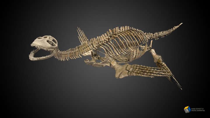 Plesiosaur 3D Model