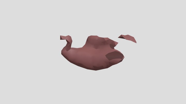 space duck 3D Model