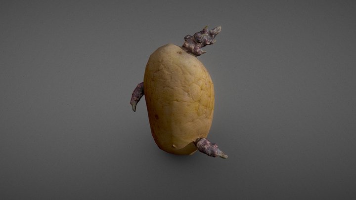 Sprouted Potato II 3D Model