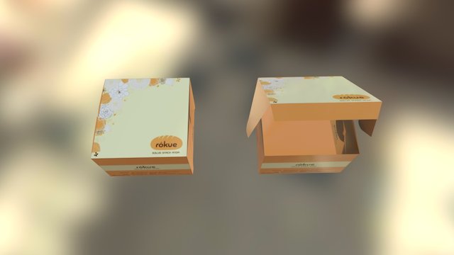 Box Rokue 3D Model