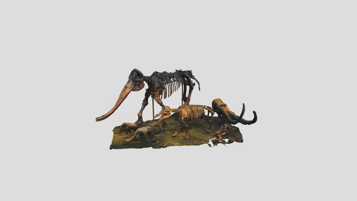 Mammal floor of IVVM 3D Model