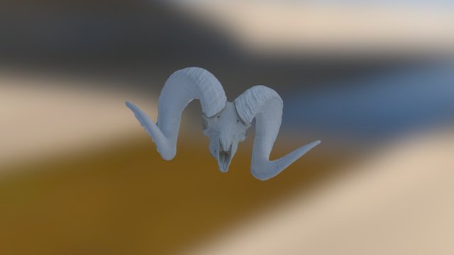 Russel Knights Sheep Skull 3D Model