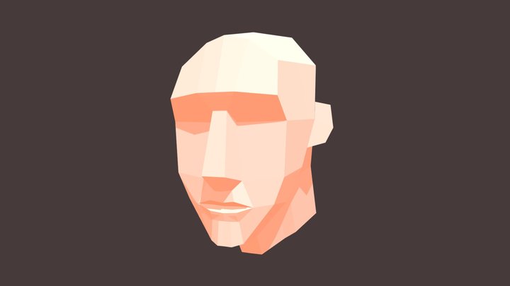 Head 3D Model