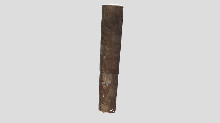 Lipstik_textured_mesh_medpoly_obj 3D Model
