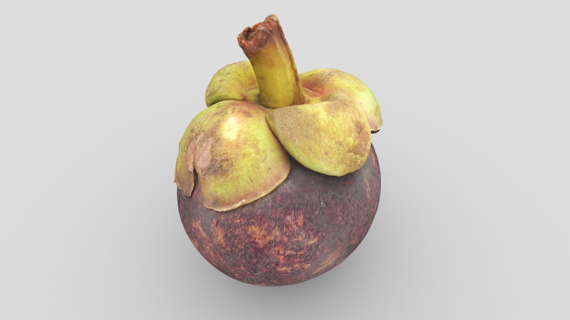 Purple Mangosteen Download Free 3D model by mjk (mjkzz) [bc3773b] Sketchfab