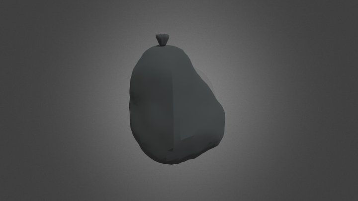 Toilet bag (Bolsa De Aseo) V1 3D Model