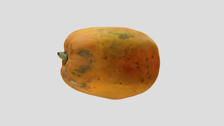 Papaya (scaled, additional formats available) 3D Model