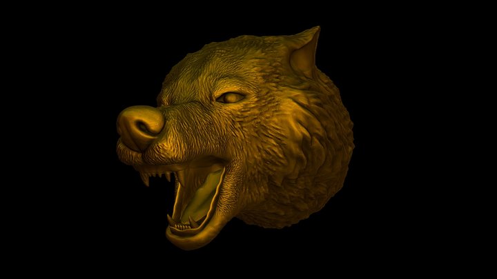 Wolf of Altai Mountains 3D Model