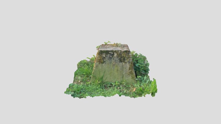 Raw_Plot_foret – Modello 3D gratuito STL
