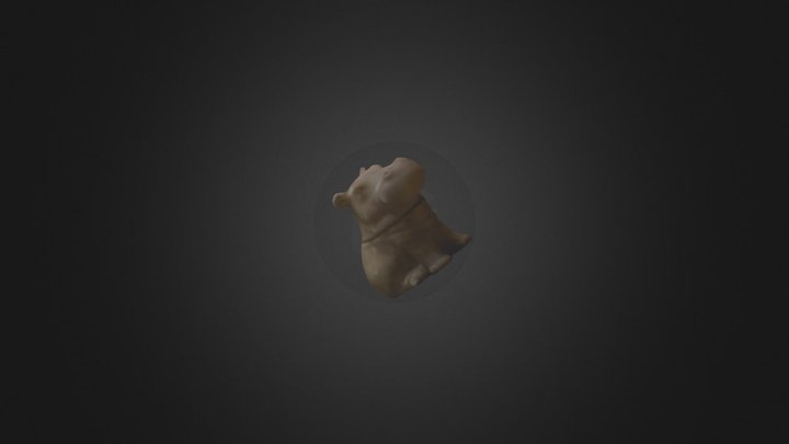 Hippo Flat 3D Model