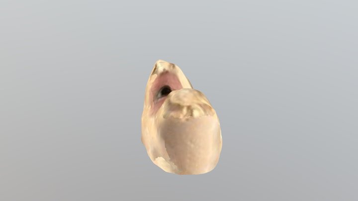 New qlone Juan Ceccarelli 3D Model