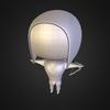 Loading 3D Model