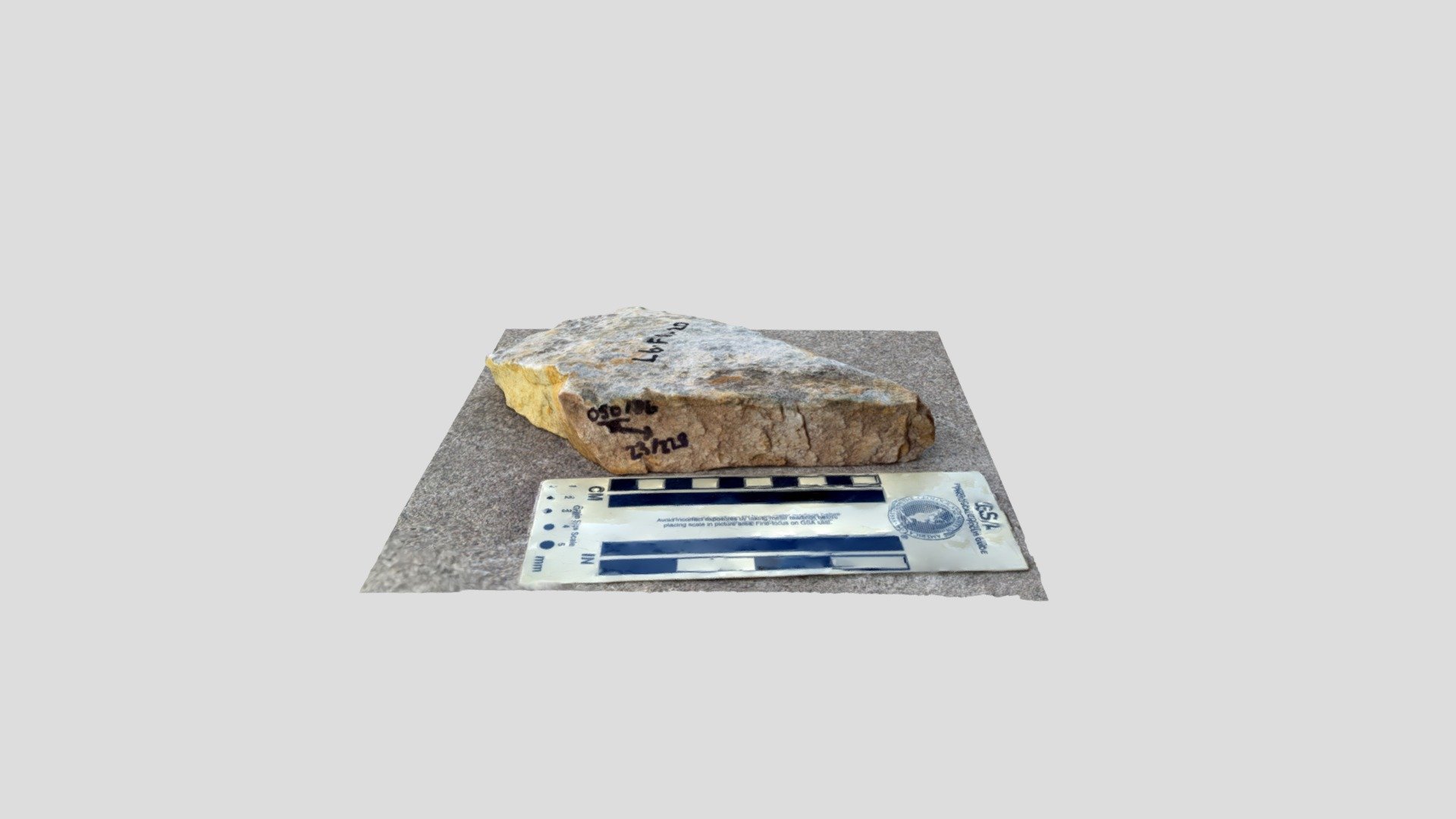 Fracture Surface - Location D