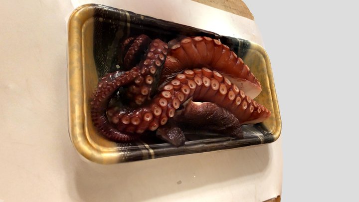 Common Octopus fillet for sashimi 2 3D Model