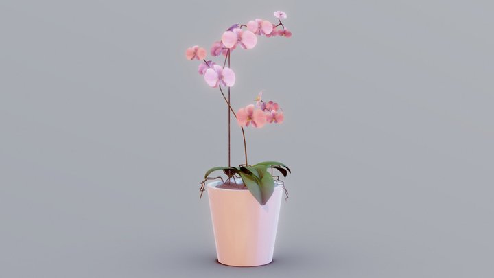 Flowers In Pink Vase 3D Model