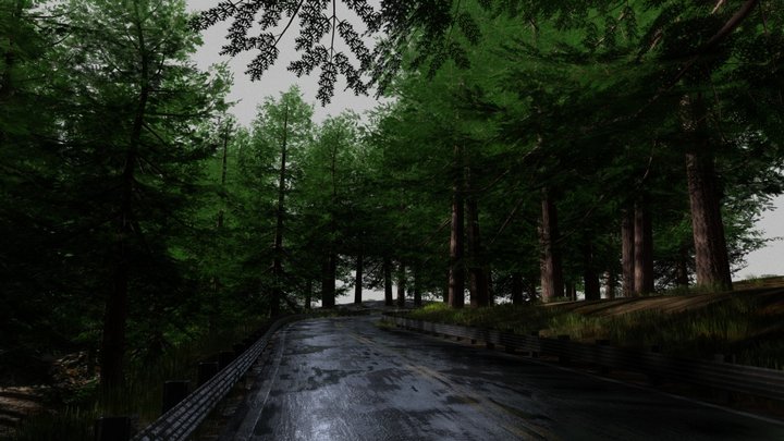 Pine Tree Showcase 3D Model