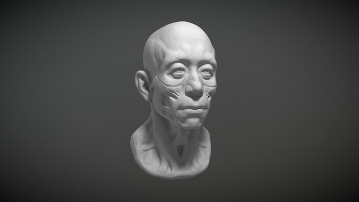 Dsffg 3D Model