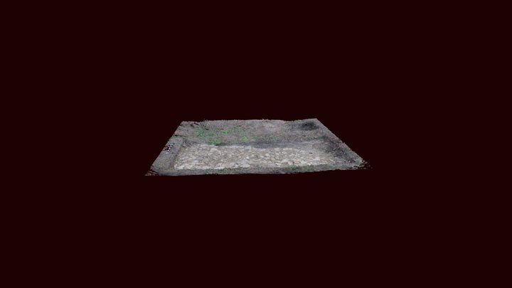 Pcloudunified BXI Simp 3D Model
