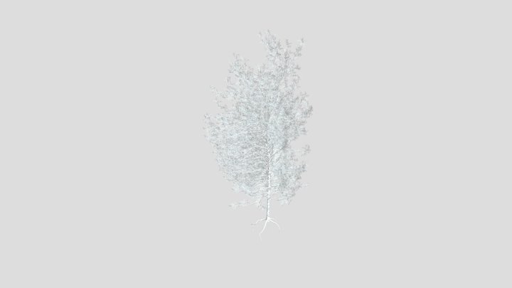 Sj High Detail Pine Tree Model – Modello 3D gratuito STL