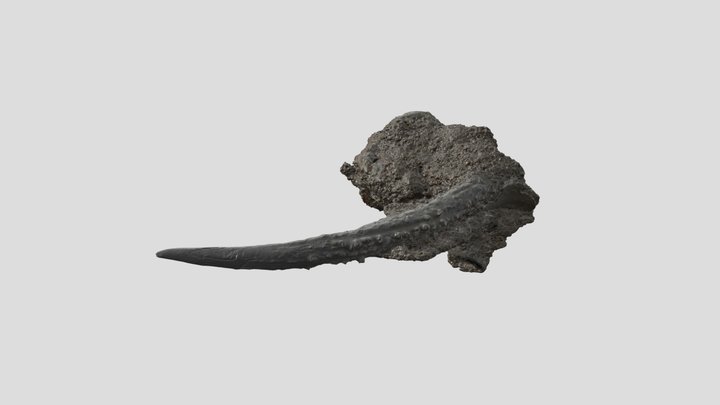 NG-2018-563 3D Model