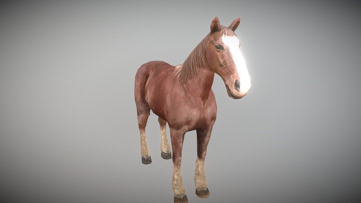 Horse Rigged(Game Ready) – Modèle 3D gratuit STL