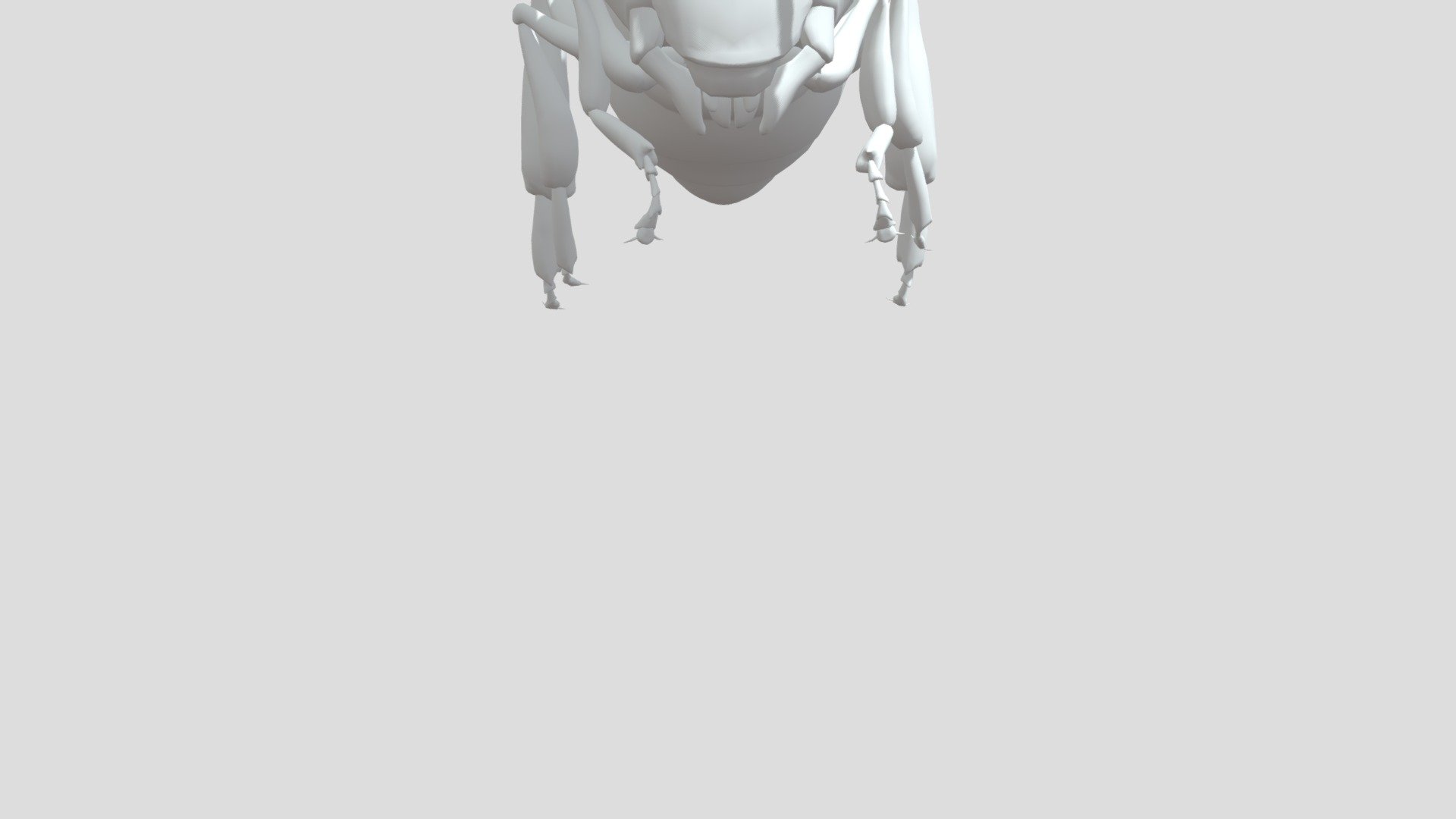 high poly bee modle