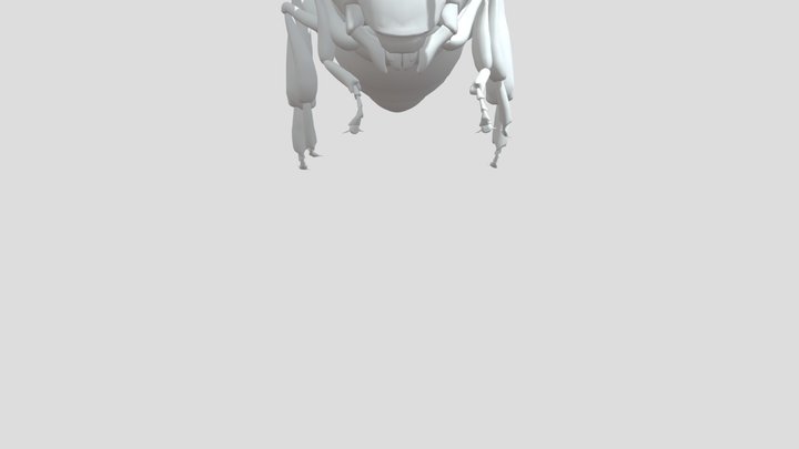 high poly bee modle 3D Model