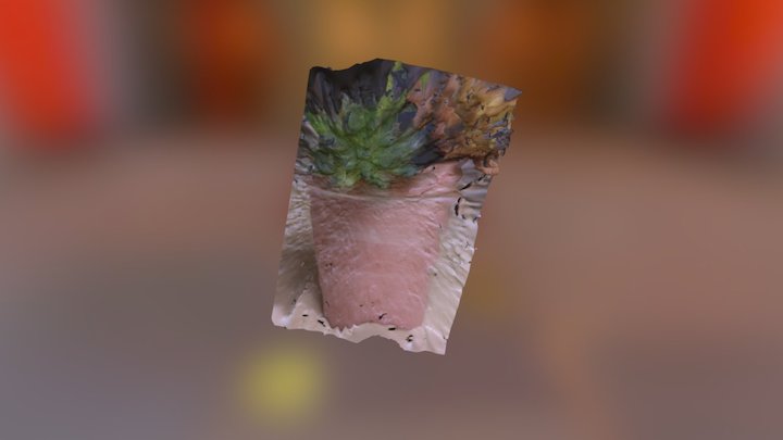 Bailey 3 Dscan flower pot 3D Model