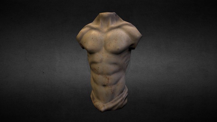 Male Torso [Low Poly] 3D Model