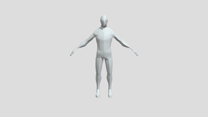 Human 3D Model