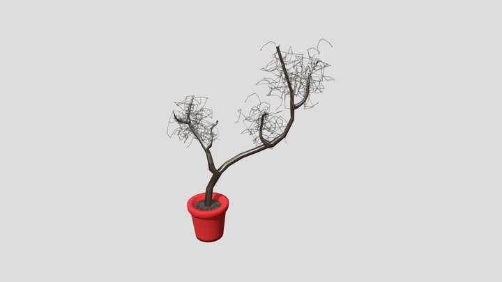 wk8_tree_plant 3D Model