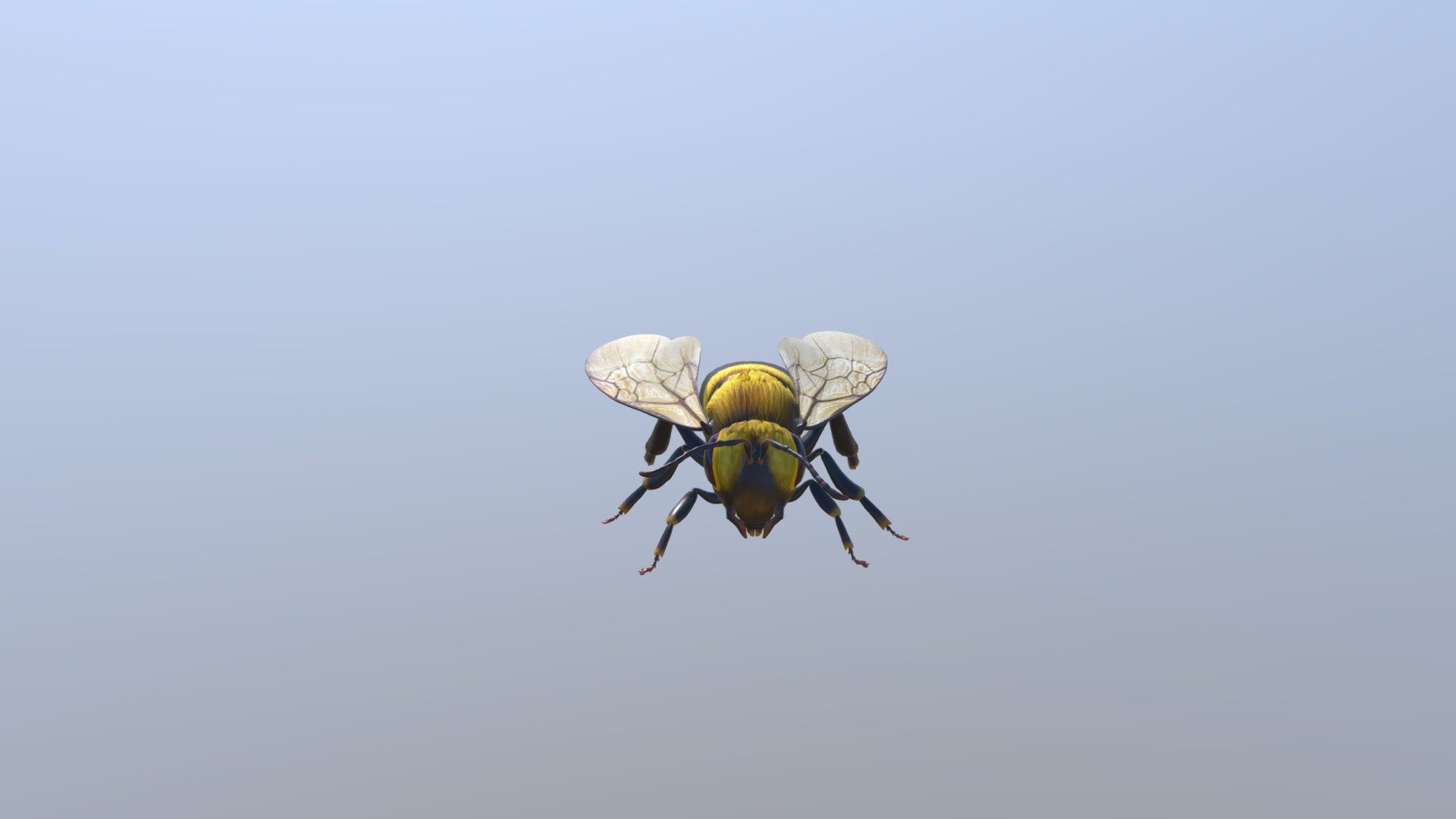 Bee