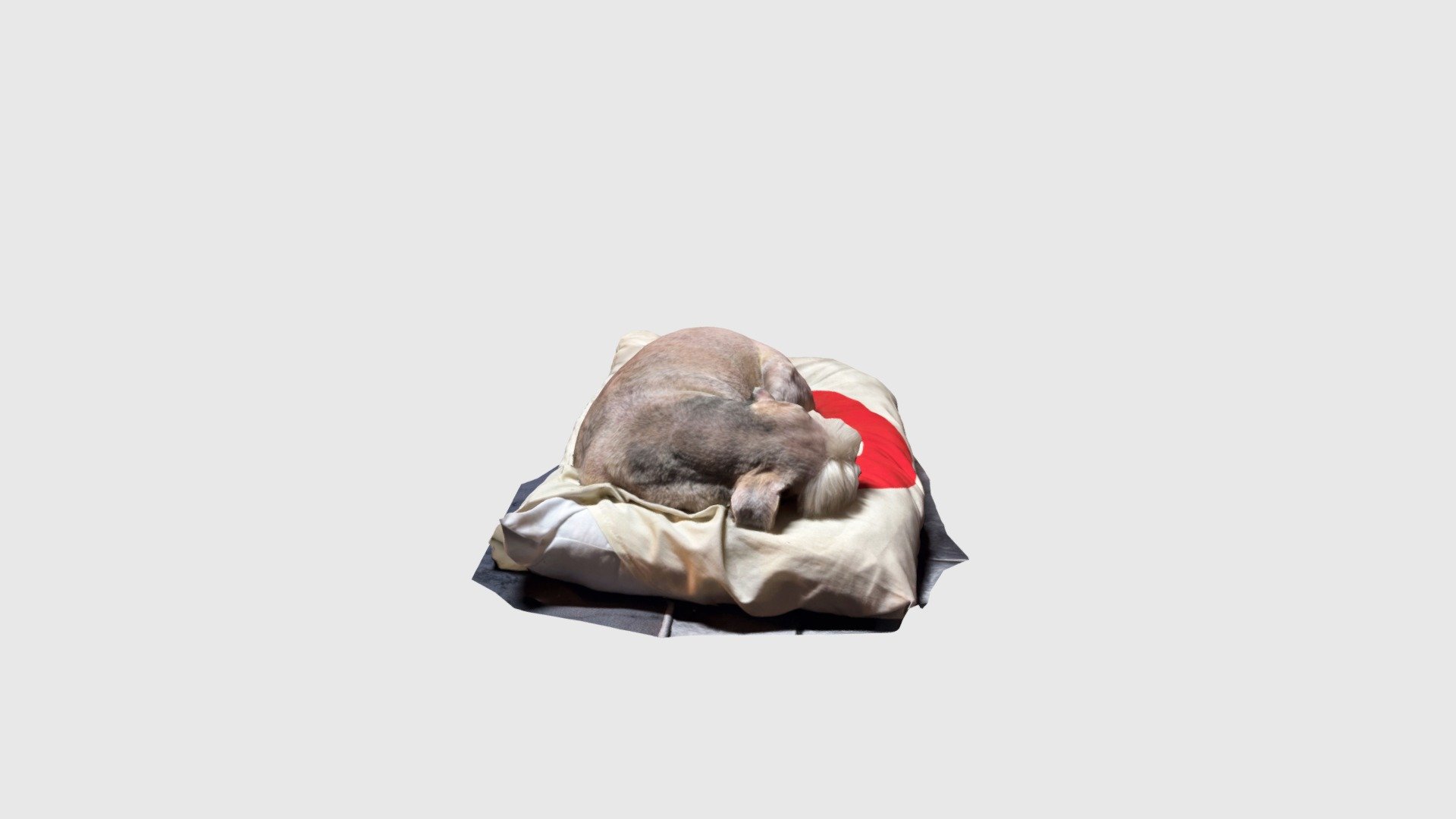 I love my pillow