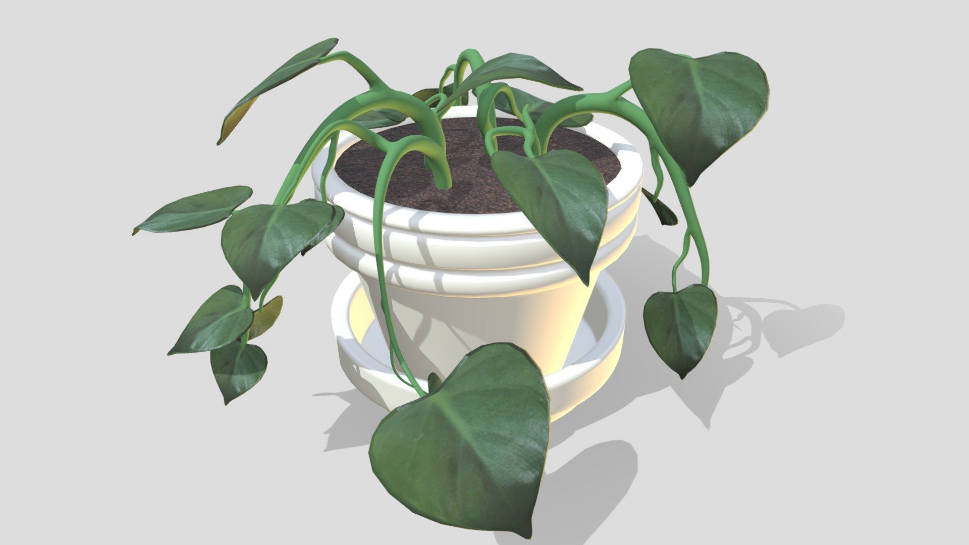 Plant