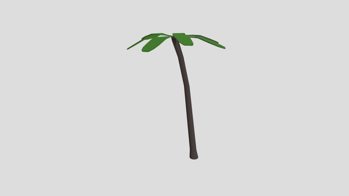 Palmtree