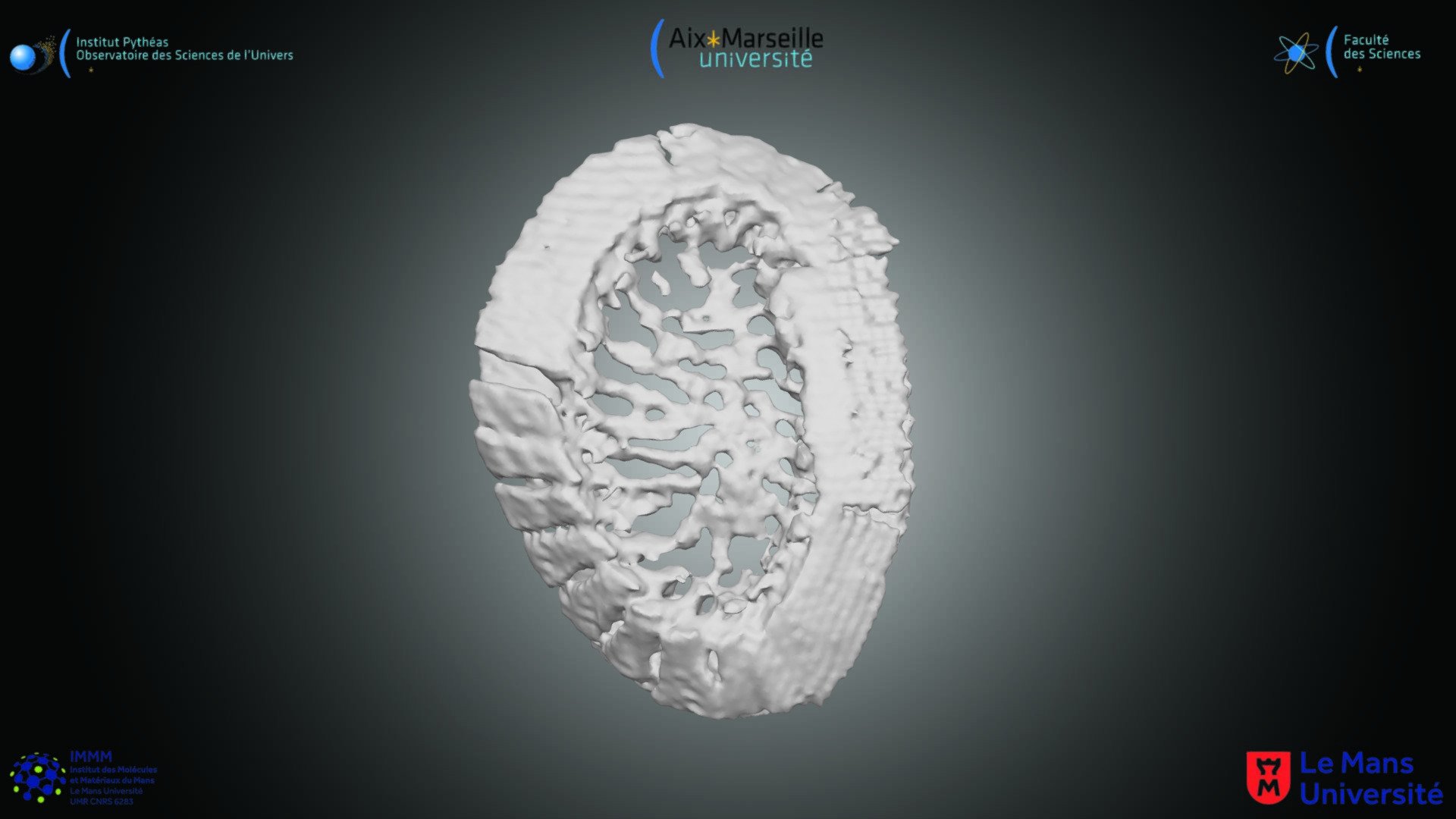 Coccolithophoridé - R. parvula coccolithe - 3D model by Secteur ...