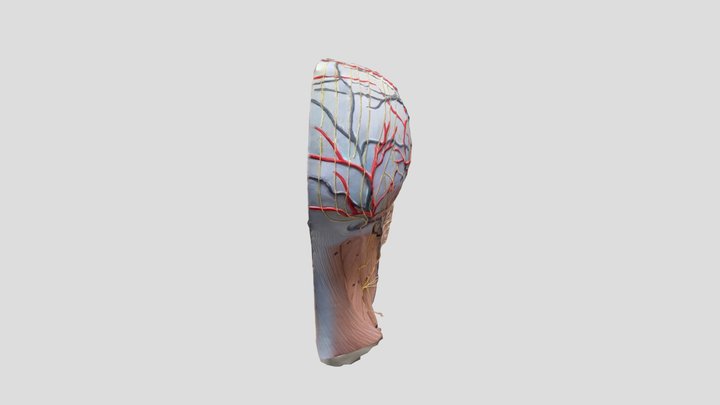 3D model 3D Model