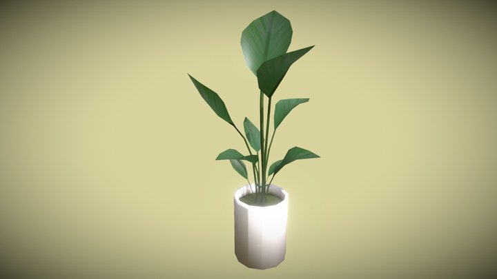 Potted Plant, Mediterranean med leaf, low poly 3D Model
