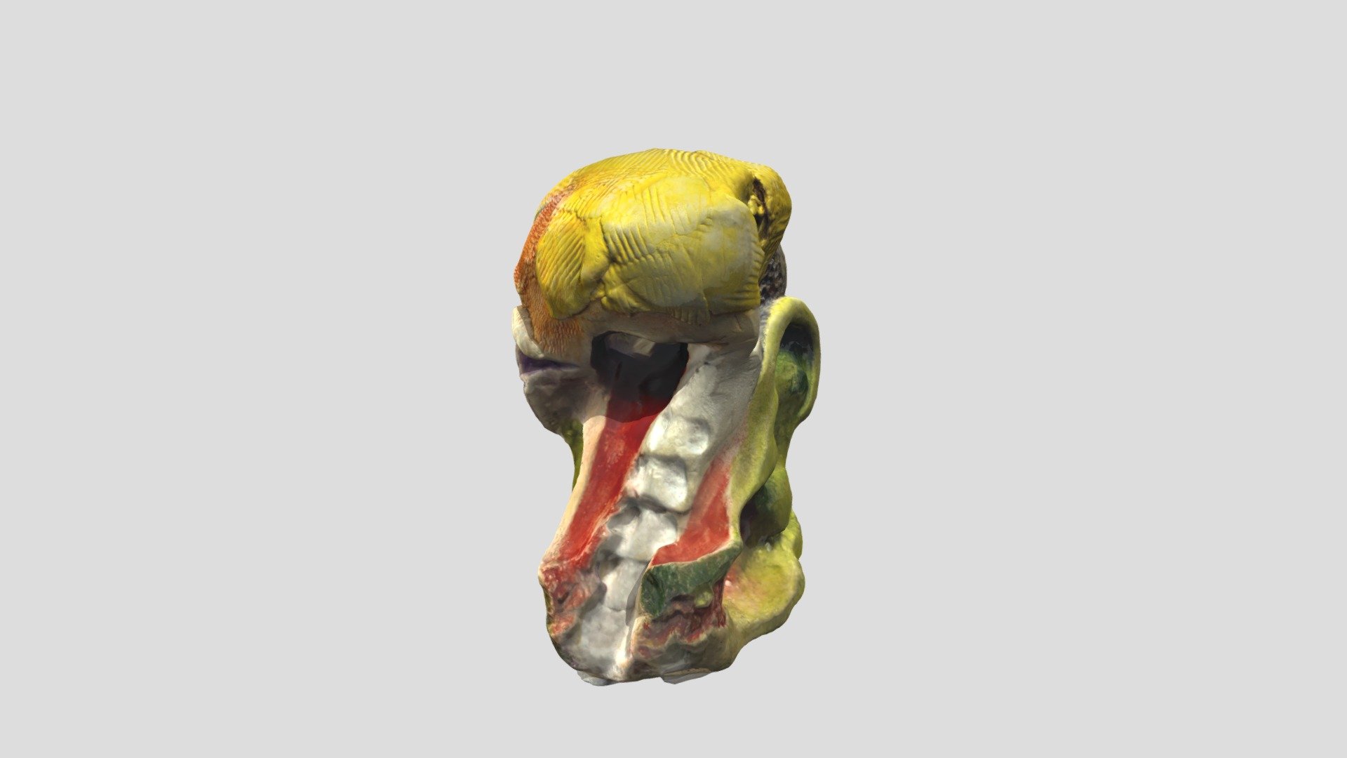 Ceramic Head Art Piece Download Free 3D model by siemo