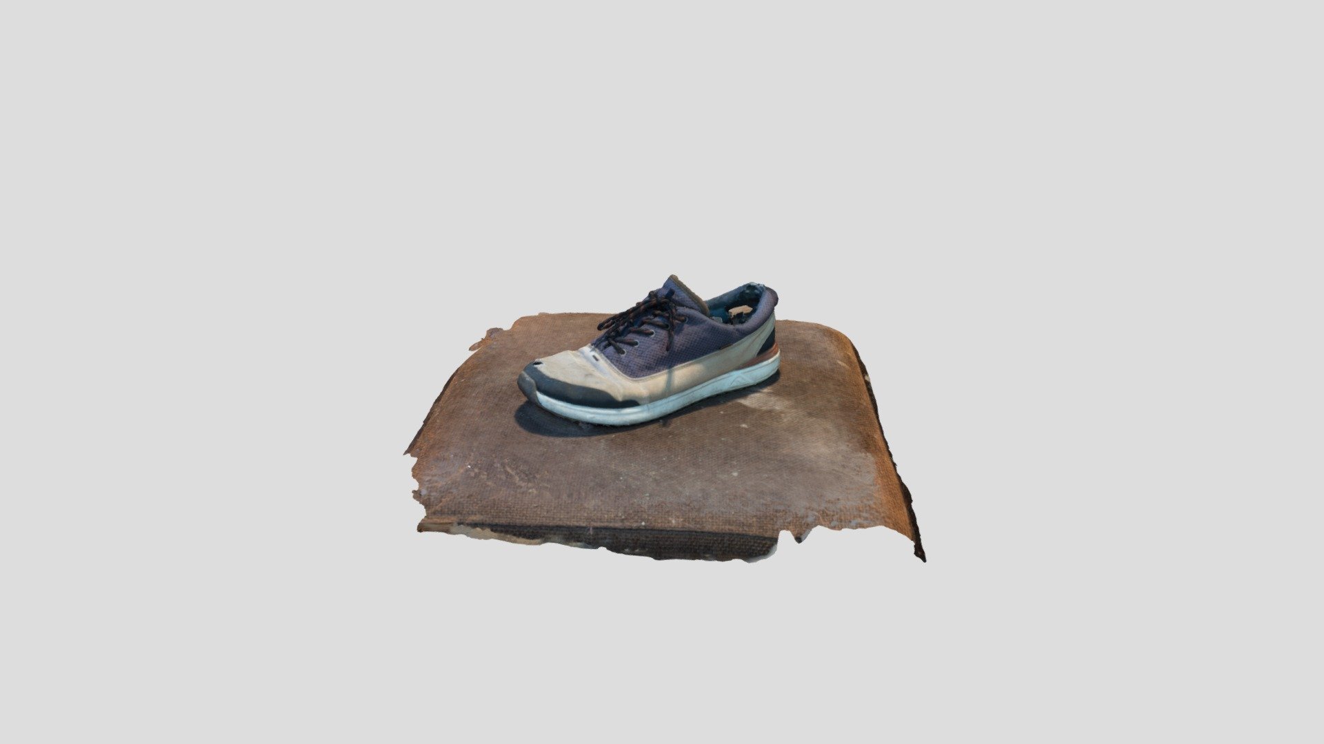Old Shoe
