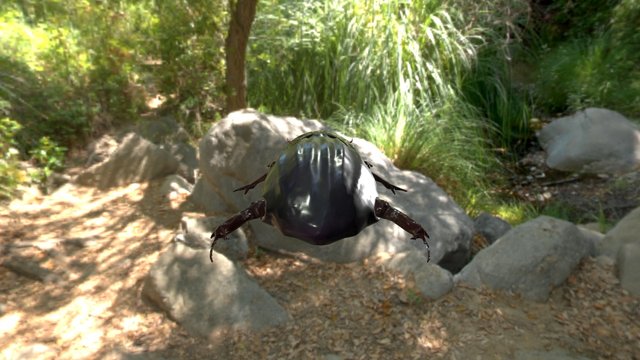 Beetle v2 3D Model