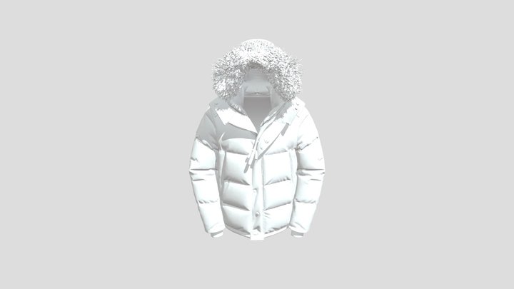 Canada Goose 3D Model