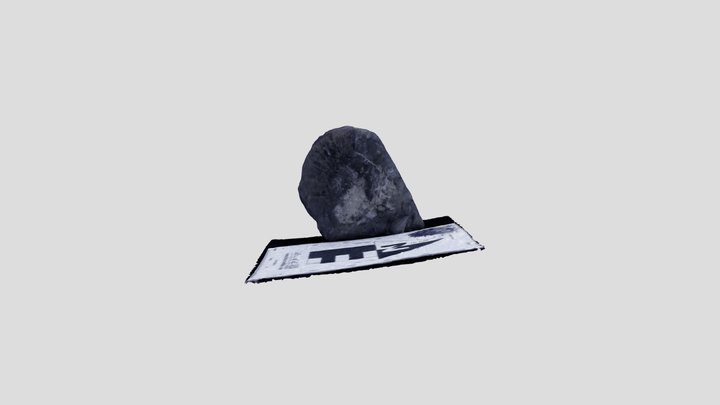 Fosil_Museo_p1 3D Model