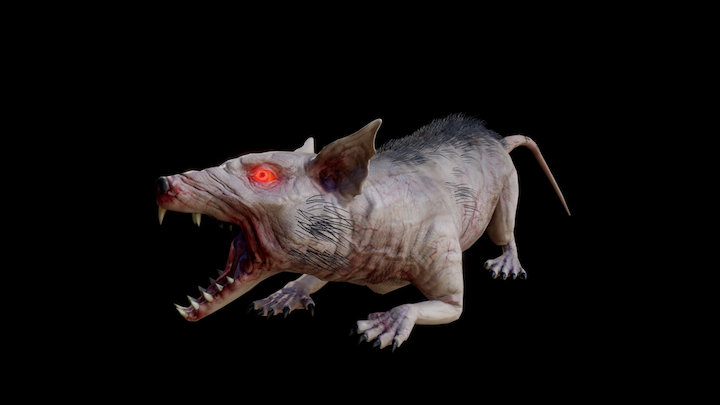 GIANT RAT ANIMATIONS 3D Model