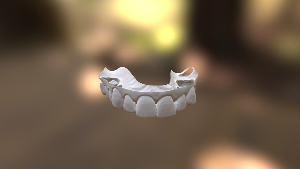 Kerry Upper Jaw