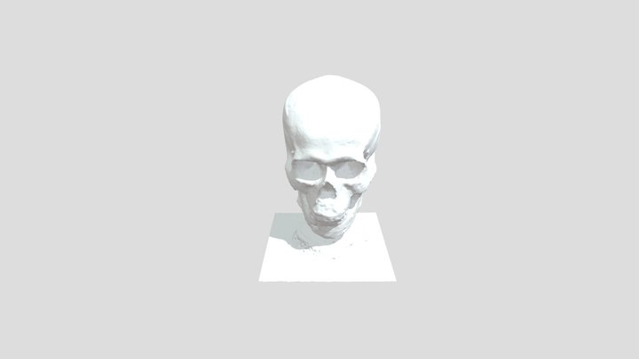 Skull Kon 3D Model